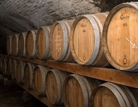 botti vino