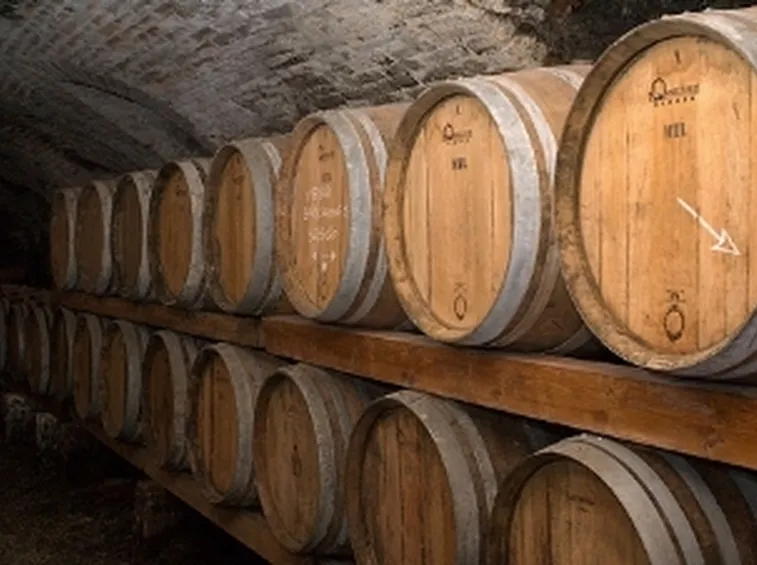 botti vino