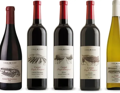 Varie etichette per vino