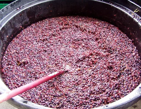 VINO ROSSO