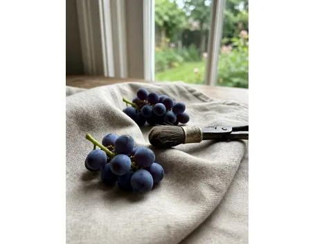 L'uva fragola