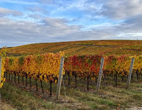 Gli splendidi colori autunnali