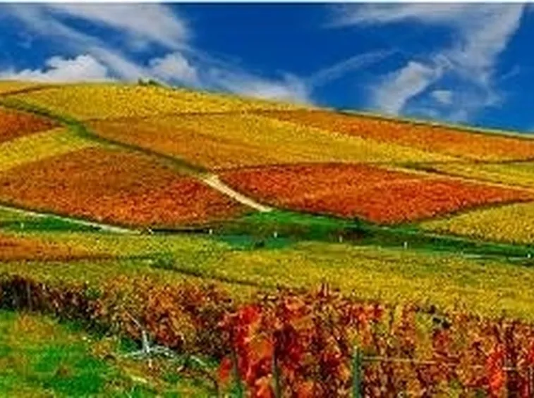 Gli splendidi colori autunnali
