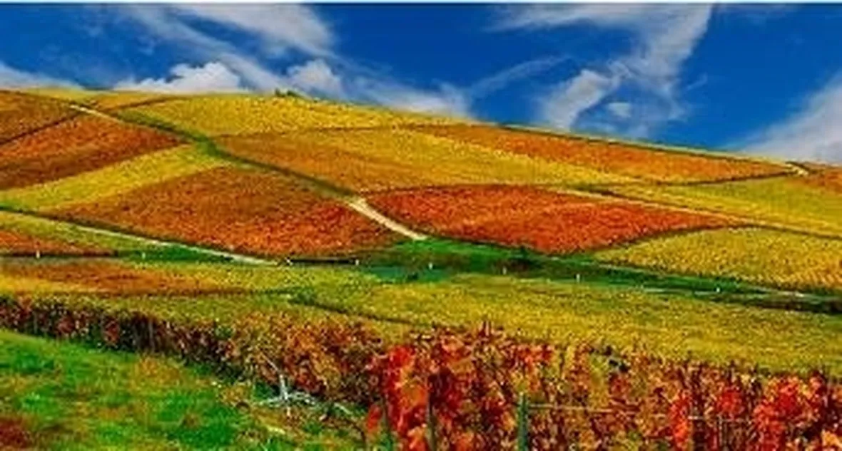 Gli splendidi colori autunnali