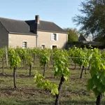 I terreni della Bollinger