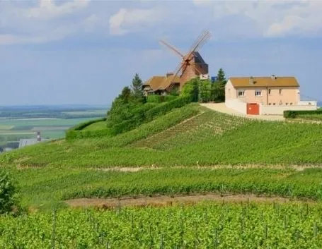 I vigneti grand cru di Vernezay