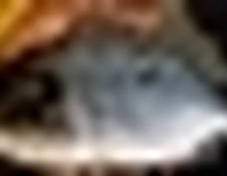 Il branzino