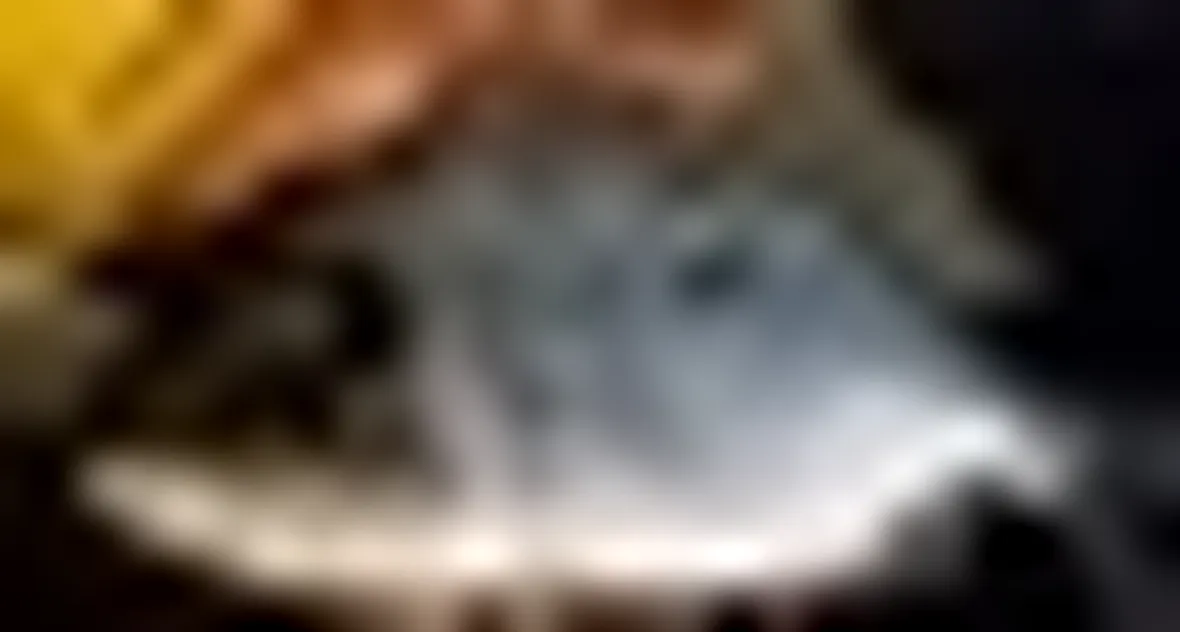 Il branzino