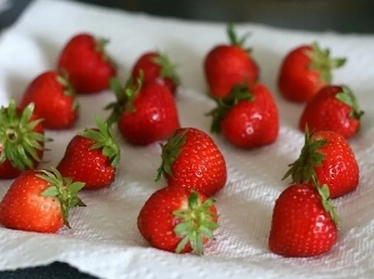 Fragole