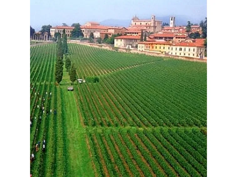 http://coccaglioolioepeperoncino.files.wordpress.com/2010/09/franciacorta_festival.jpg