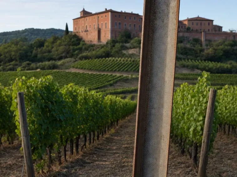 vigneti e cantine