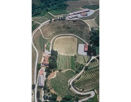 I vigneti visti dall'alto