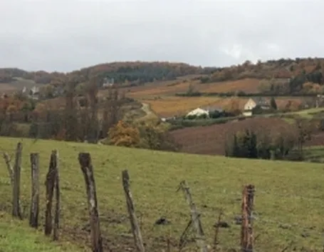 Il panorama alsaziano