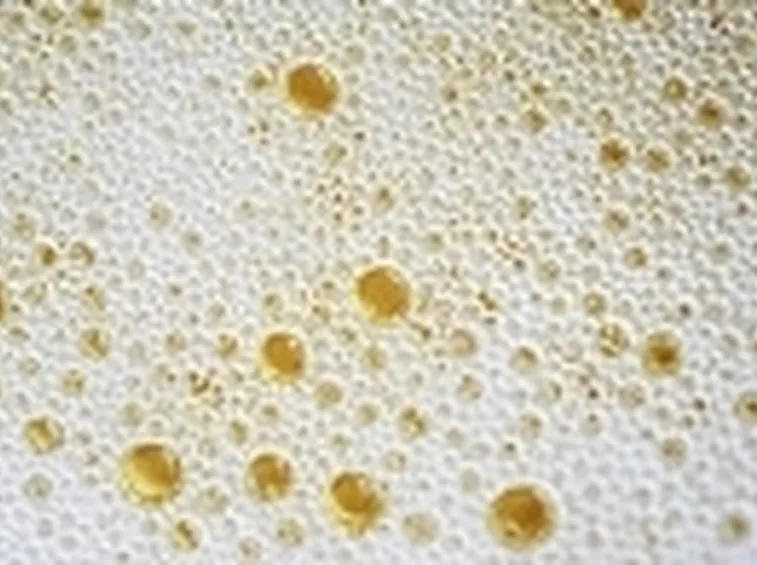 Gli spumanti naturali2