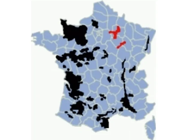Spumante o Champagne2