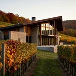 Perché l'autunno è la stagione giusta per le cantine del Trento DOC