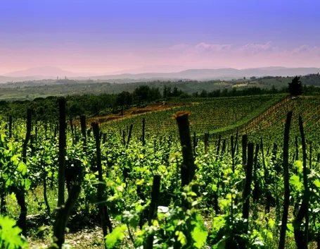 La Franciacorta