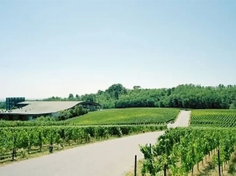 La sinuosa forma della cantina di Ca Del Bosco