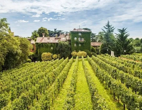 Lo spumante Franciacorta