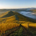 Perché l'autunno è la stagione giusta per il paesaggio UNESCO