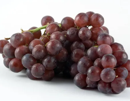 uva rossa