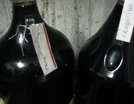 Liquore uva fragola