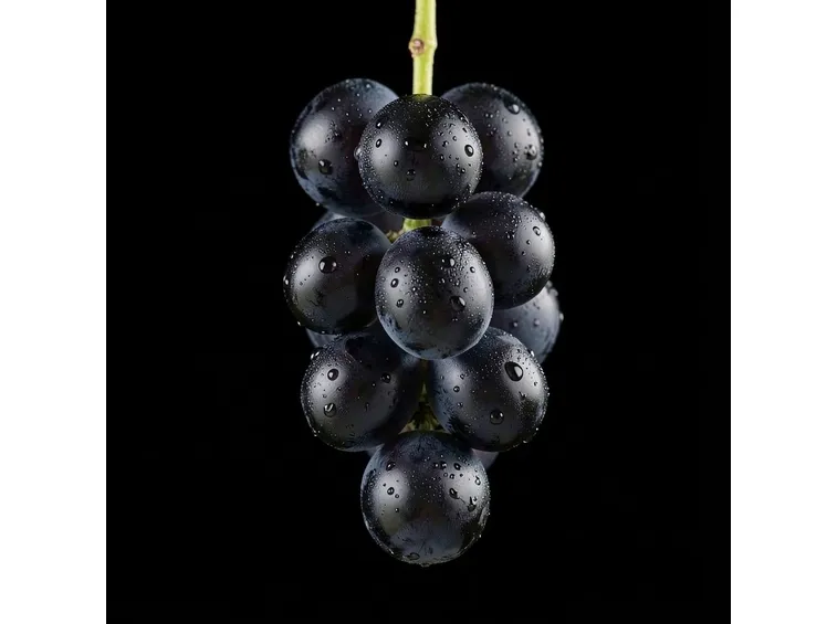 Sognare uva nera