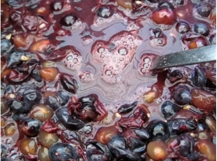 Mosto
