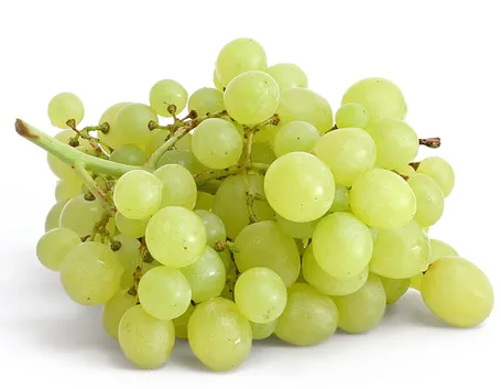 uva bianca