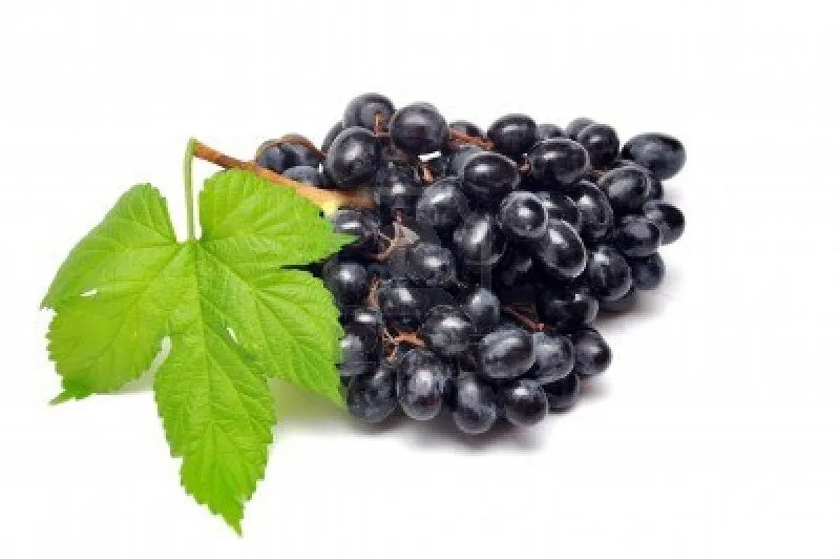 uva nera