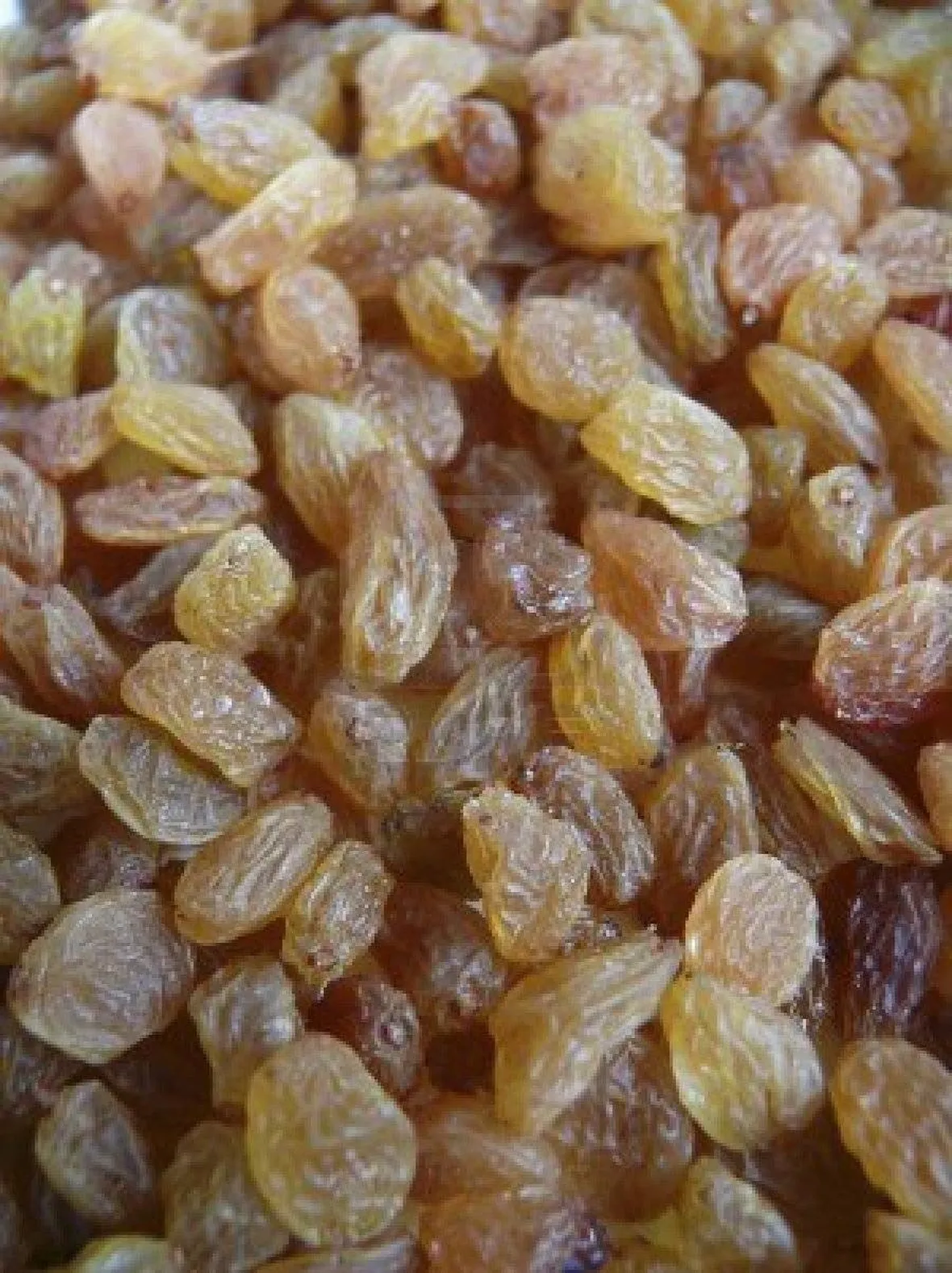 uva passa