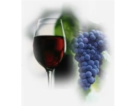 uva da vino