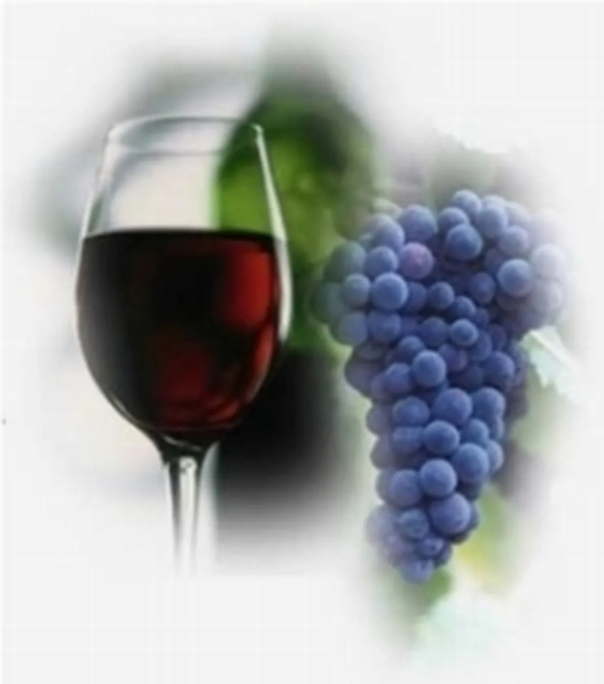 uva da vino