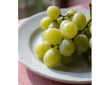 uva da tavola