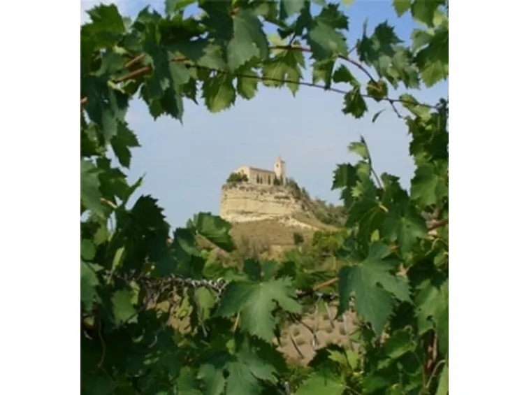 Zone del Pecorino