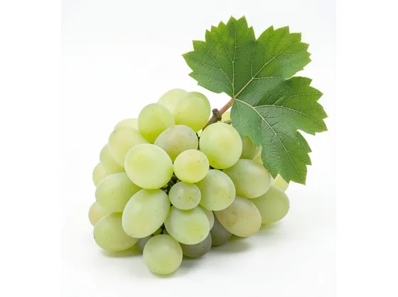 Riesling Italico