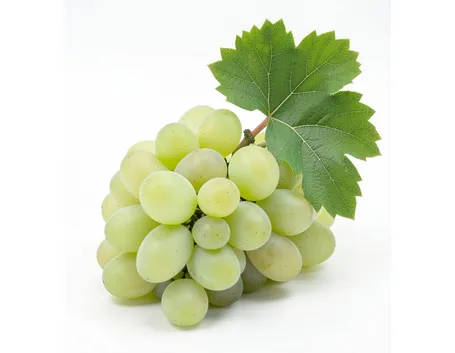 Riesling Italico
