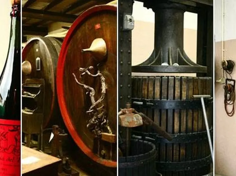 vini della fortana