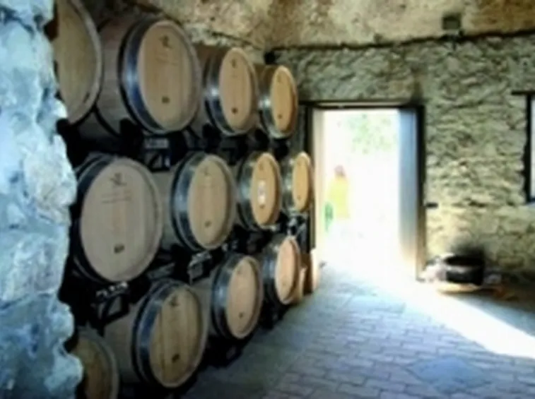 Una cantina del Piedirosso