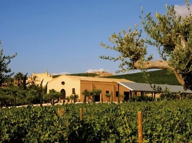 vigneti di contessa entellina