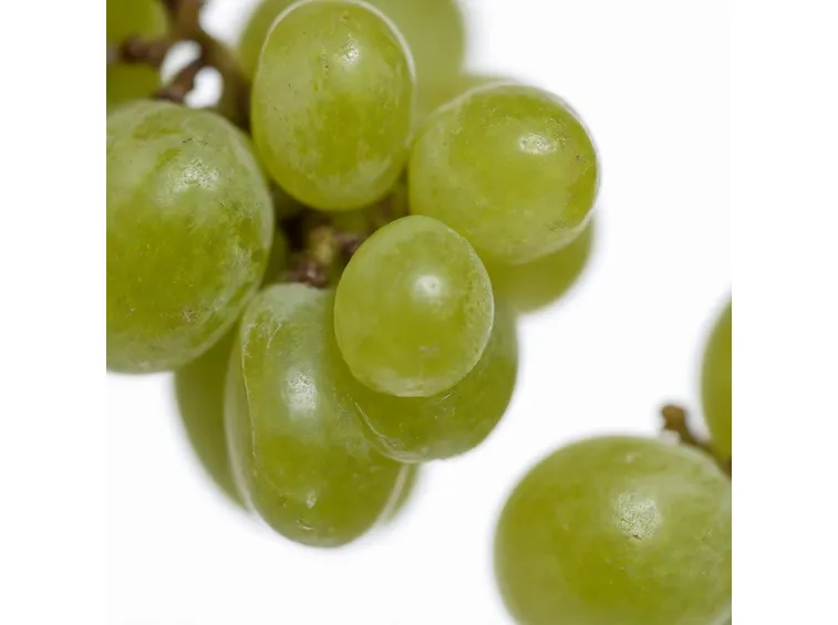 uva da tavola
