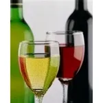 vino internet