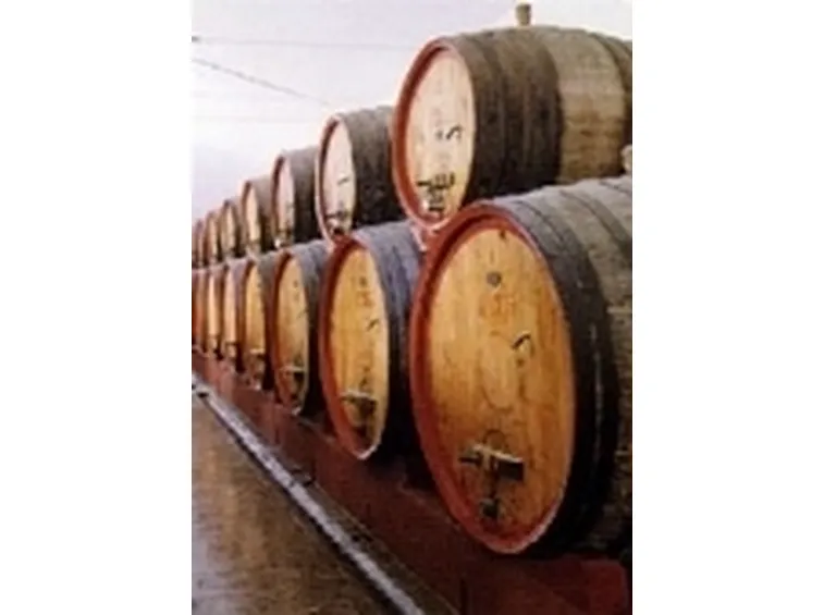 vino sfuso