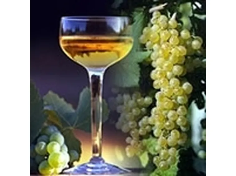 http://www.territorimalatestiani.it/public/albana.jpg