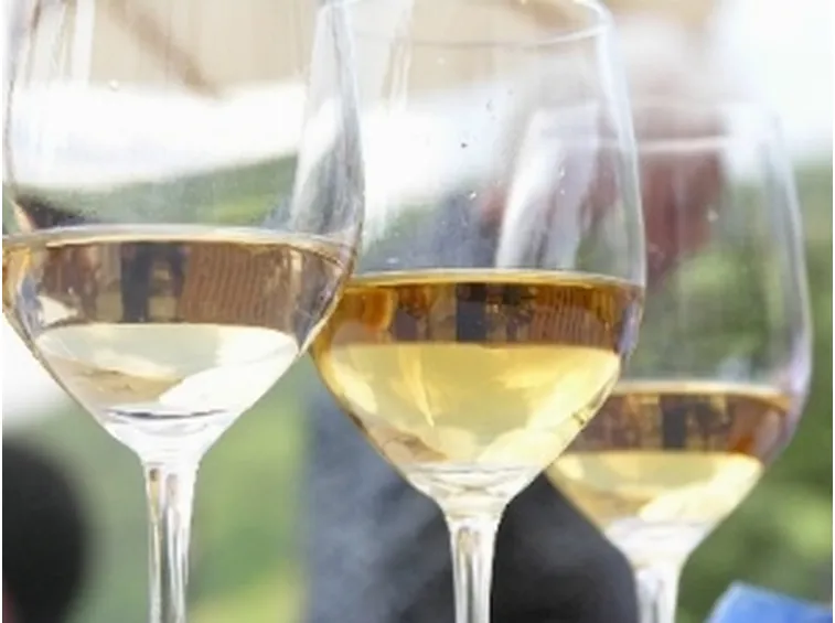 http://www.costavacanzehotels.com/immagini/sapori_romagna_vino_bianco.JPG