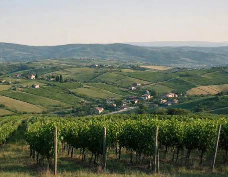 colli albani