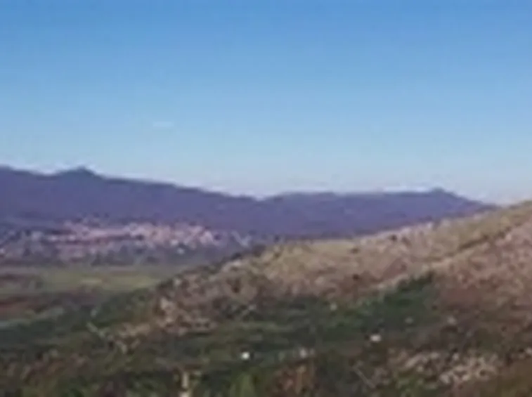 colli albani