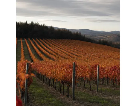 colline di colloredo