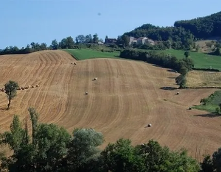I Colli di Parma
