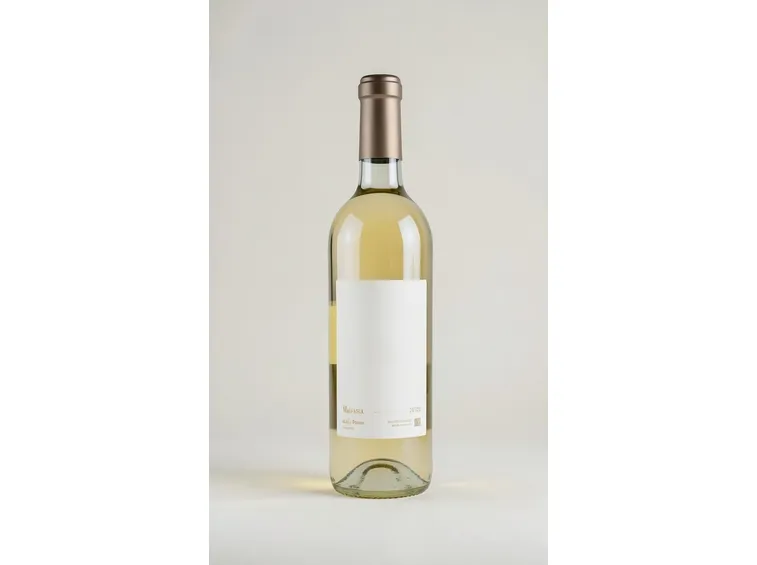 Il Malvasia dei Colli di Parma